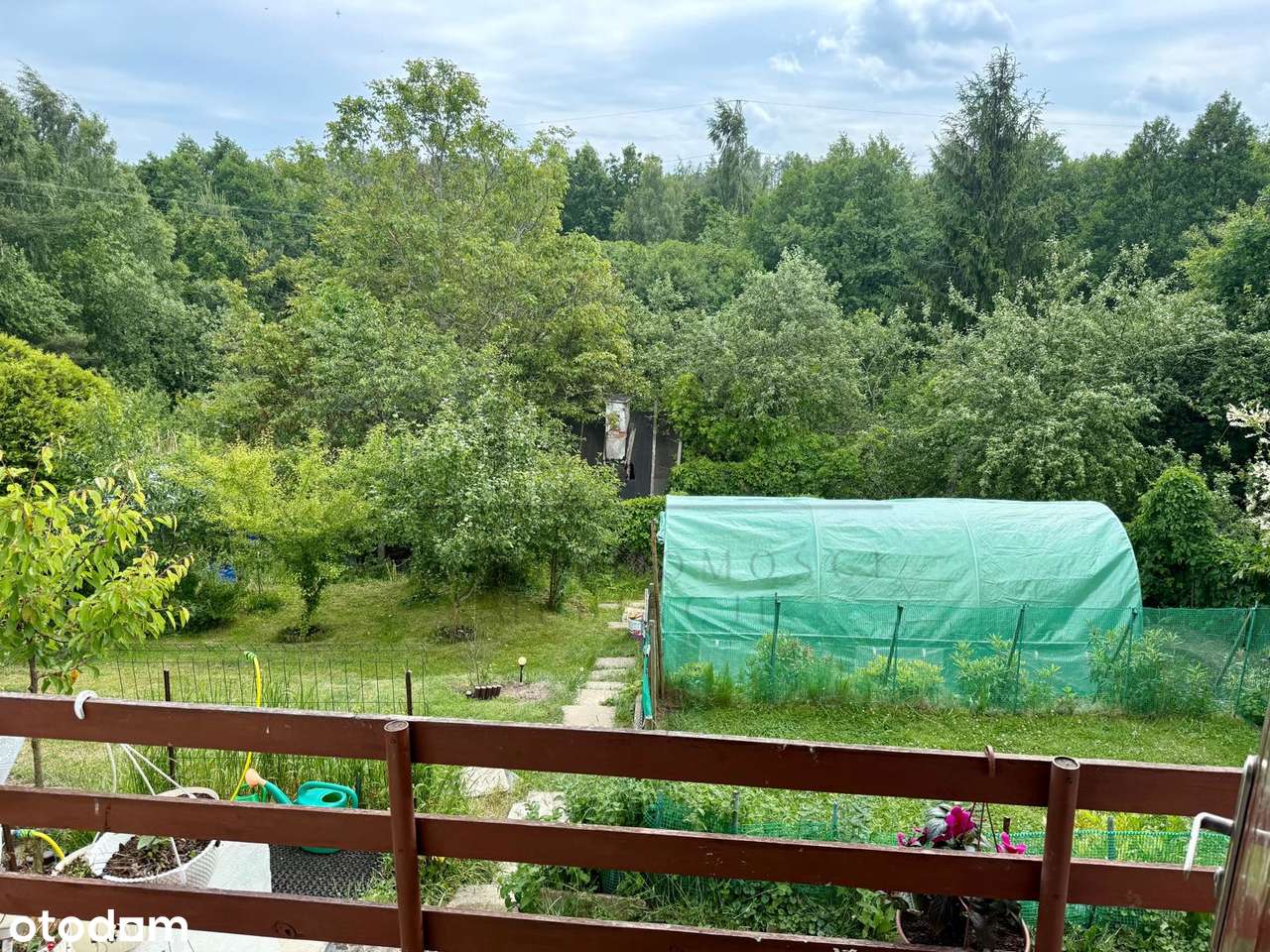 Działka ROD Zielony z domkiem, zadbana-1