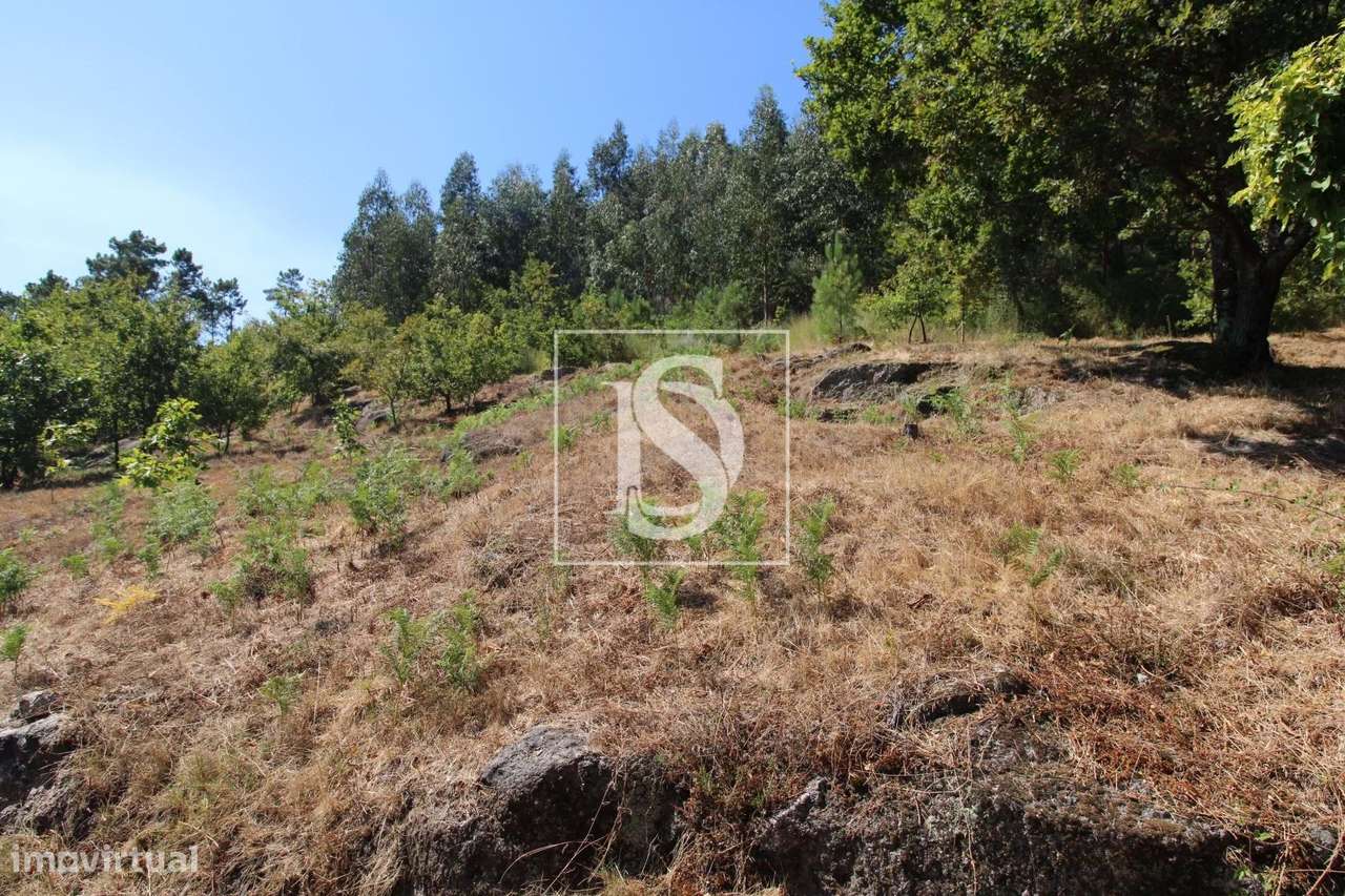 Terreno Não definido em Salvador do Monte - Grande imagem: 3/8