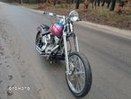 Harley-Davidson Softail Standard - 9