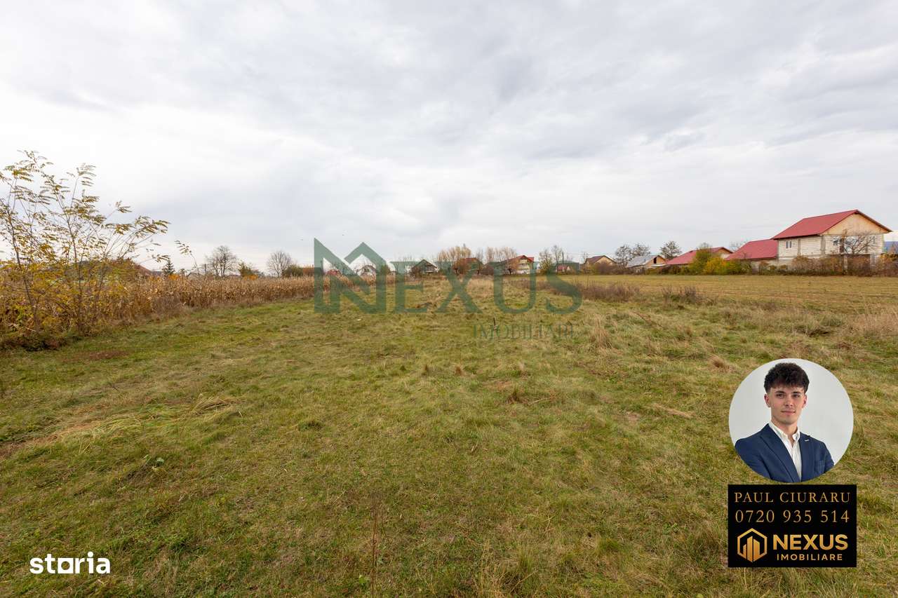 Casă + Teren de vânzare, Nicolae Bălcescu, Bacău-9