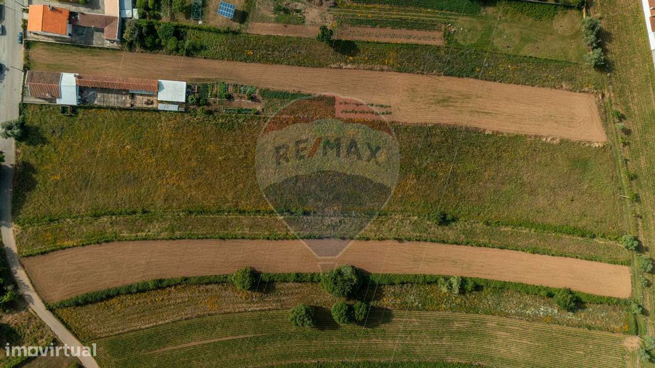 Terreno  para venda - Grande imagem: 1/4