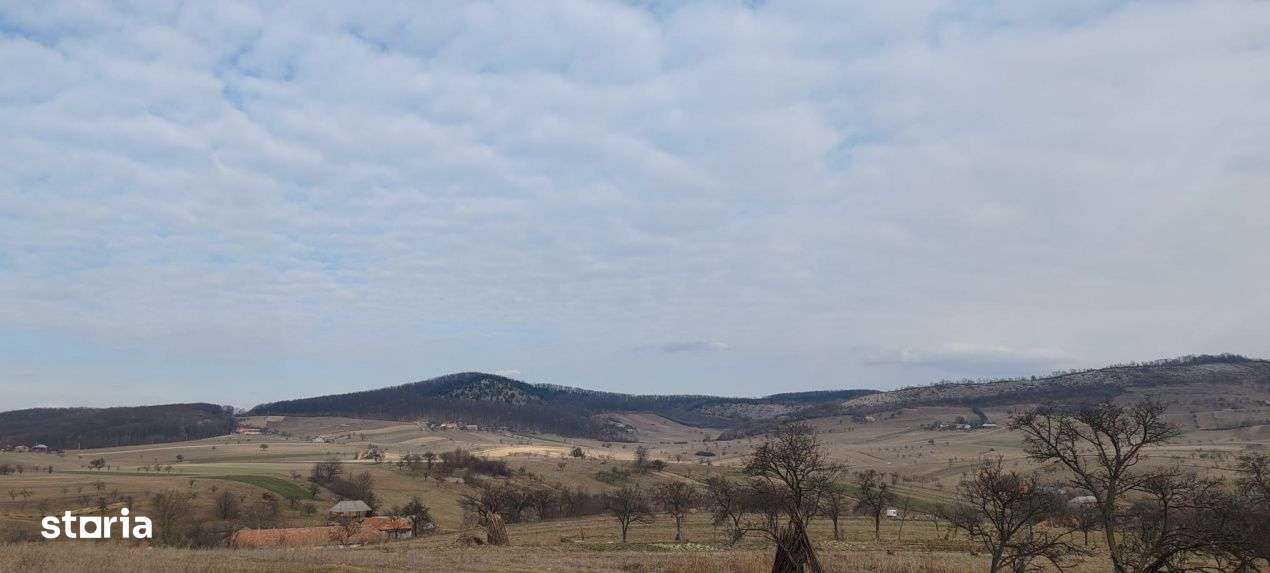 Teren 2282 mp, extravilan, localitatea Fasca, comuna Varciorog, jud. B - Imagine principală: 1/8