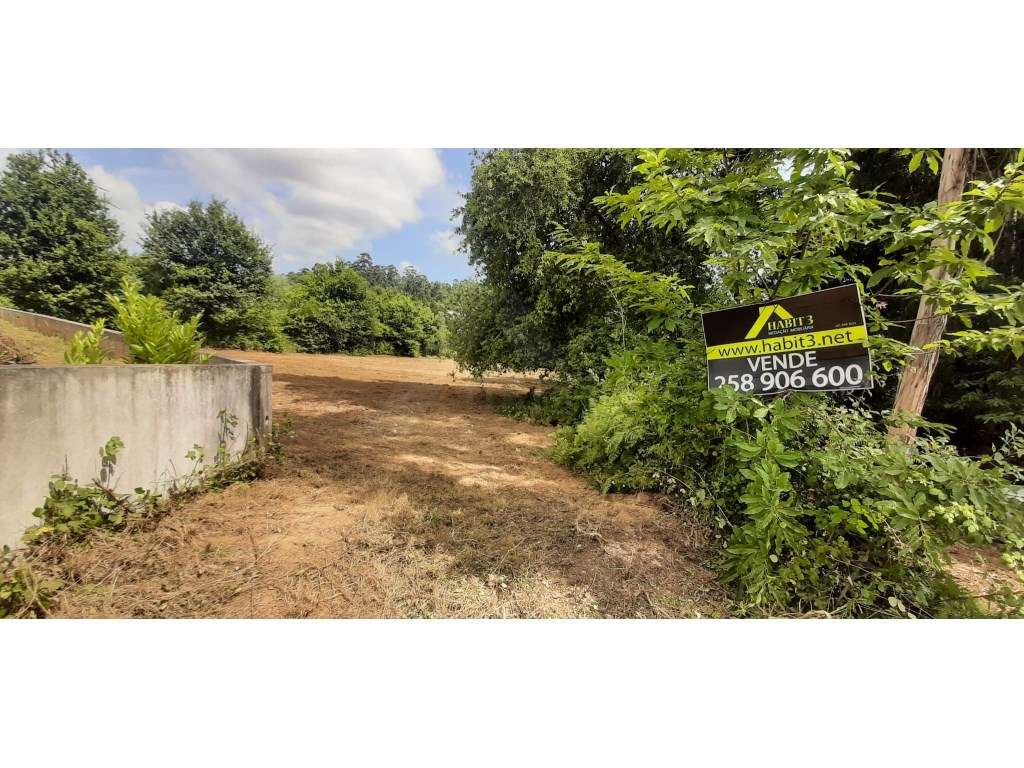 Terreno c/ 2.851m2 em Fornelos - Grande imagem: 3/3