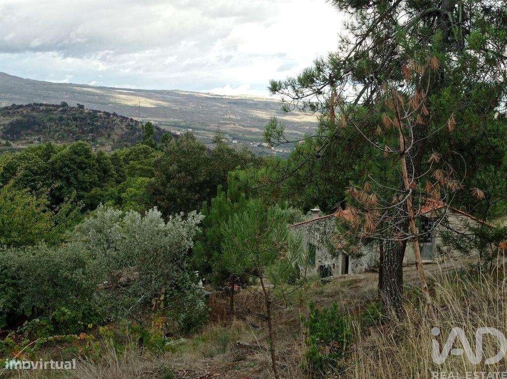 Terreno Agrícola em Sendim-16