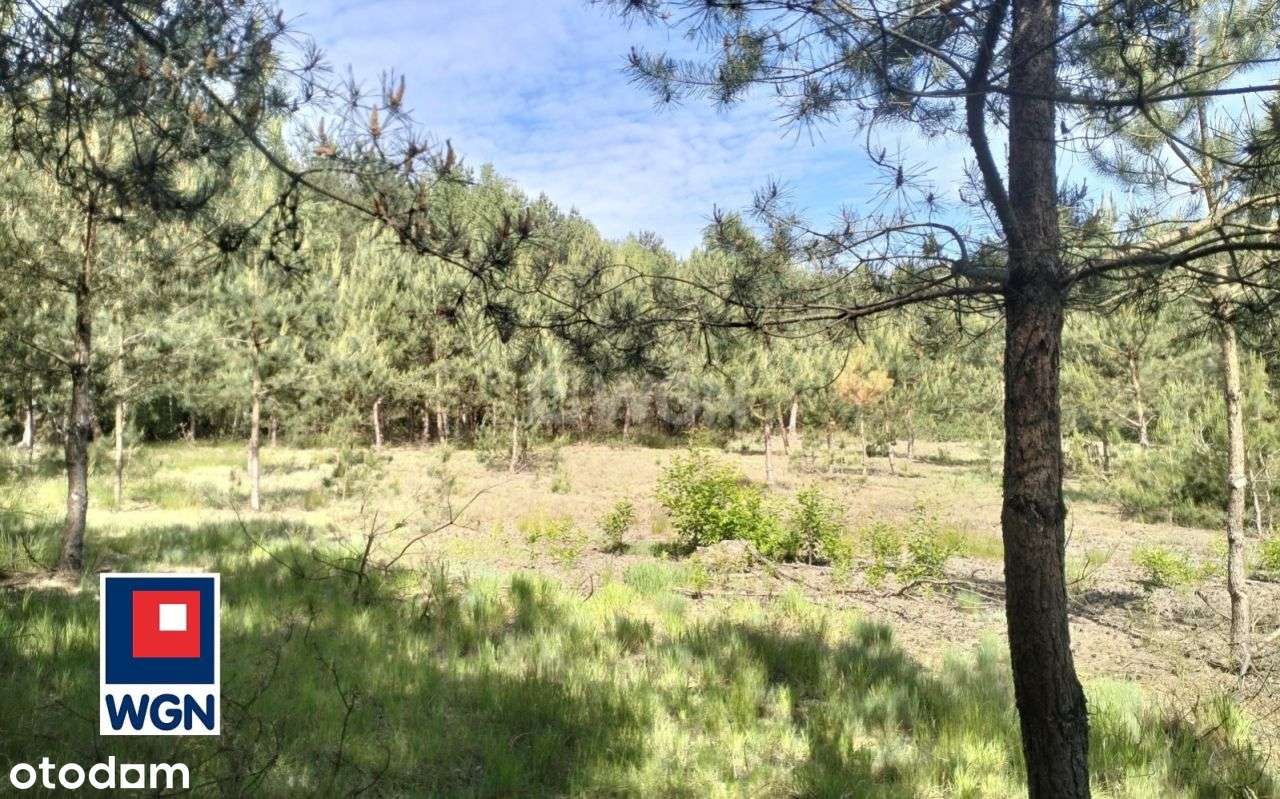 Działka, 3 196 m², Osetno - Pełny obrazek: 4/12