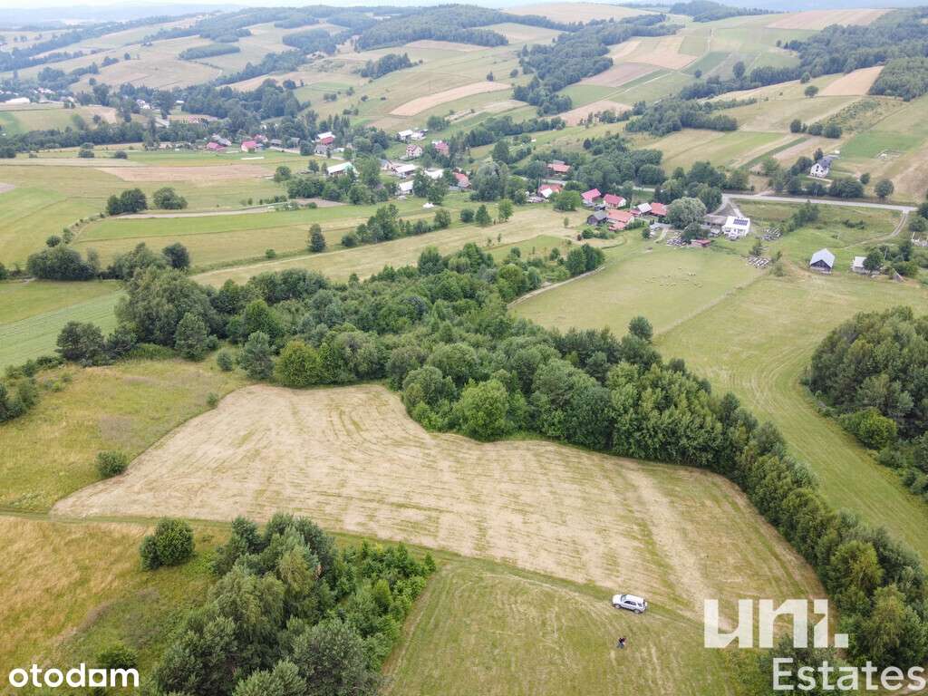 Kuźmina | Rolna | Spokojna okolica | 67 ar - Pełny obrazek: 4/8