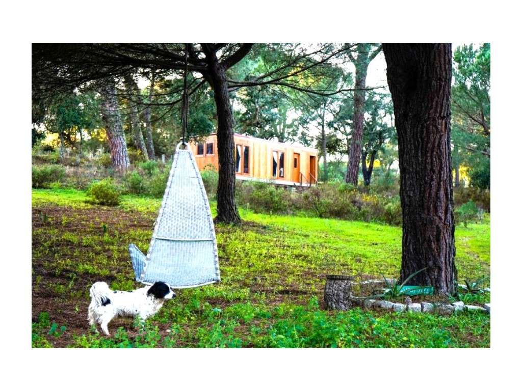 Monte Alentejano com 8,2 Hectares - Um Paraíso de Natureza e Sereni...-36