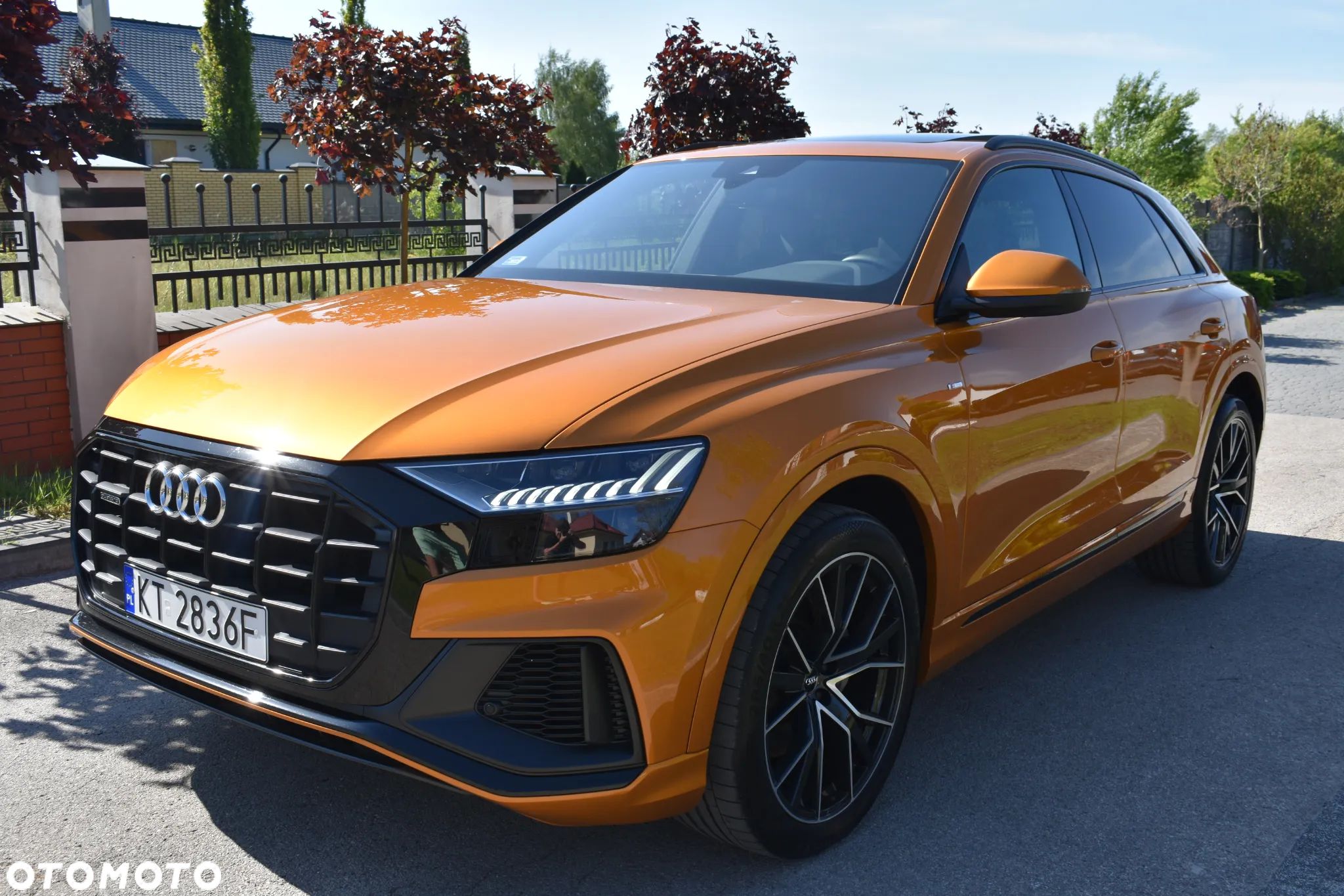 Audi Q8 50 TDI mHEV Quattro Tiptronic - 1