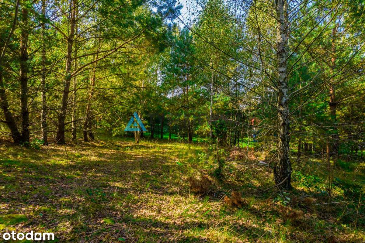 Urokliwa działka położona w sąsiedztwie jezior! - Pełny obrazek: 4/19