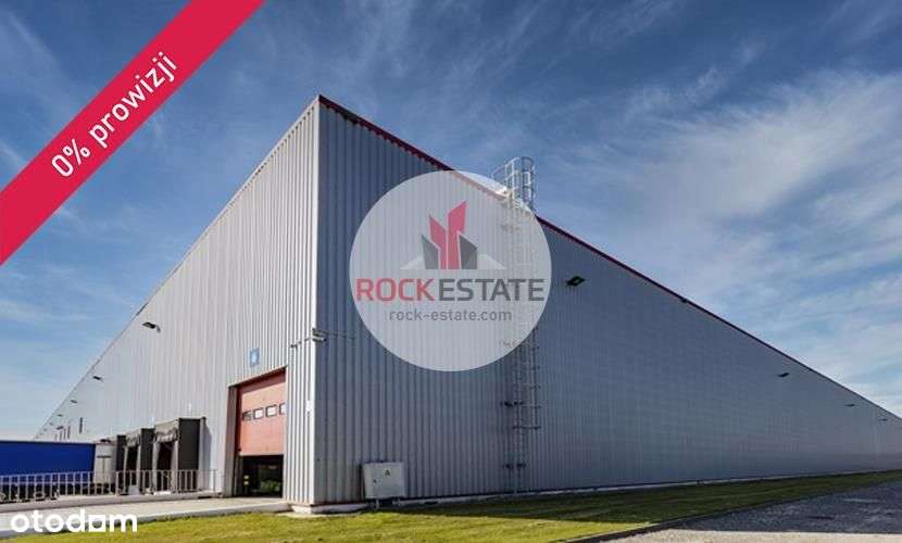 Magazyn 6800 m2 od zaraz - Łubna - 0% prowizji - Pełny obrazek: 4/5
