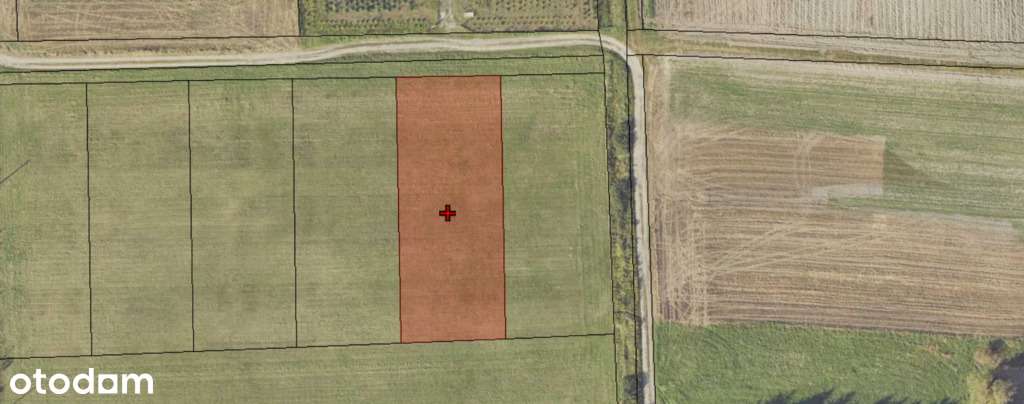 Działka w Santocku! - Pełny obrazek: 4/5