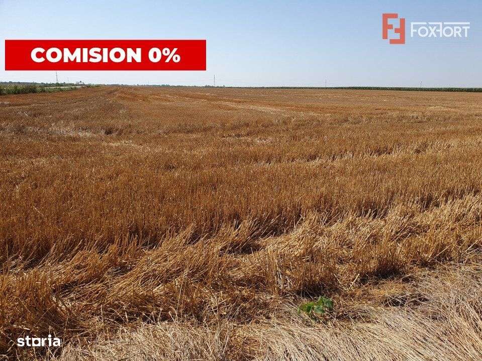 COMISION 0% Teren extravilan 4,47 ha, 800m front stradal, Peciu Nou - - Imagine principală: 5/10