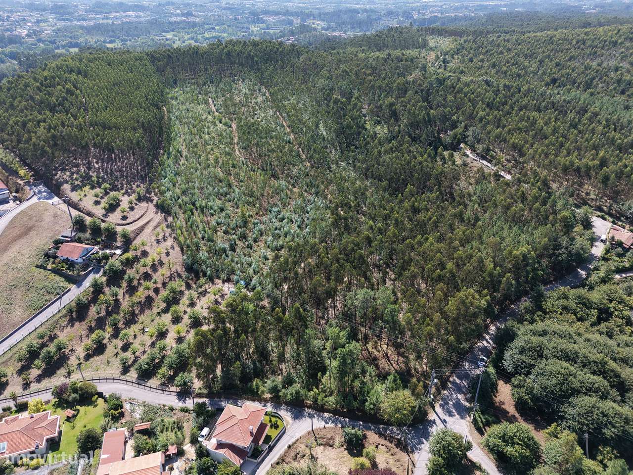 Terreno Florestal com 600 m de Frente de Estrada | Freiriz, Vila Verde-0