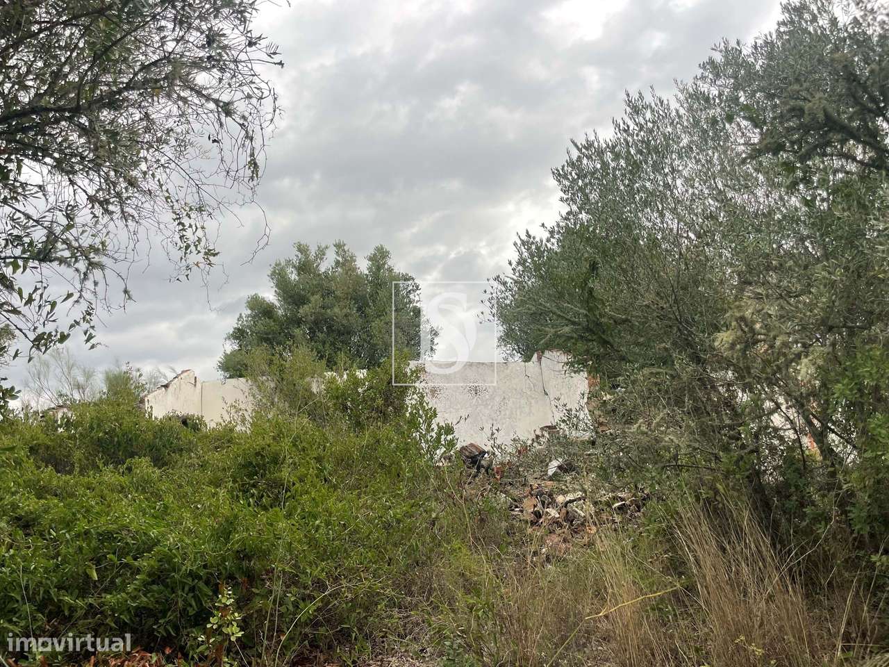 Quintinha em Montargil-25