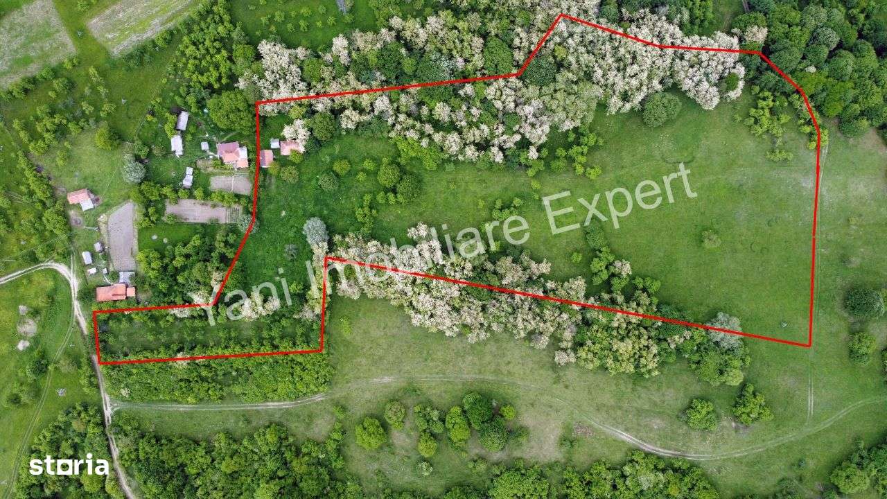 Teren de vânzare în comuna Tigveni, sat Blaju ( 34.600 mp ) - Imagine principală: 3/13