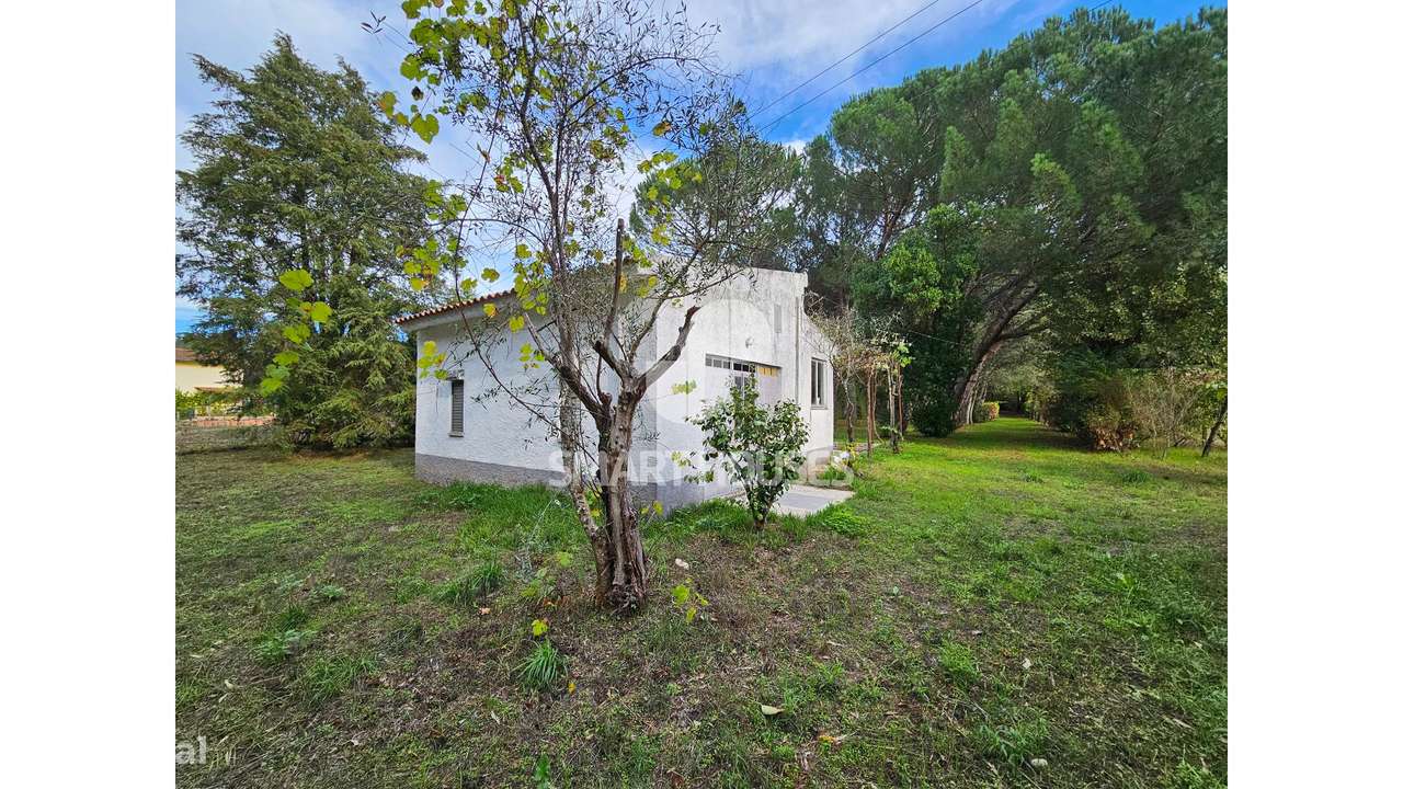 Quinta T1 Secarias junto rio Alva - Grande imagem: 5/26