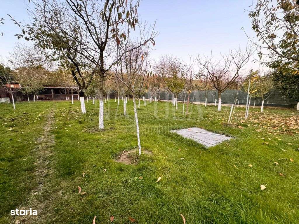 Casa 7 camere de vanzare in Paulesti, Satu Mare - Imagine principală: 5/20