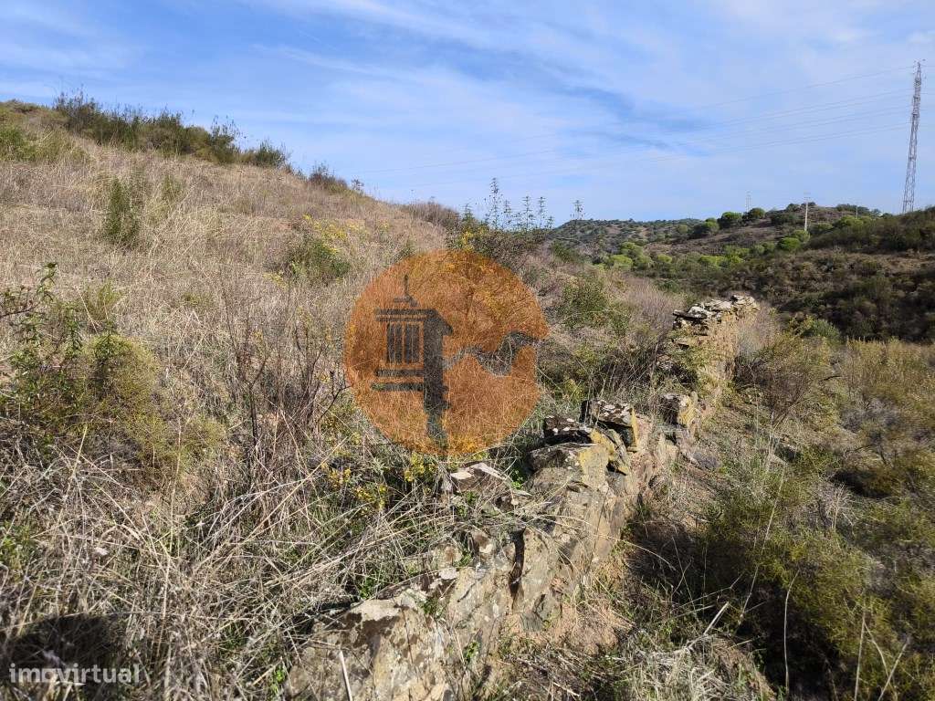 TERRENO COM 21.000 M2 - COM POÇO - FIGUEIRAIS - BELICHE - CASTRO MA... - Grande imagem: 5/25