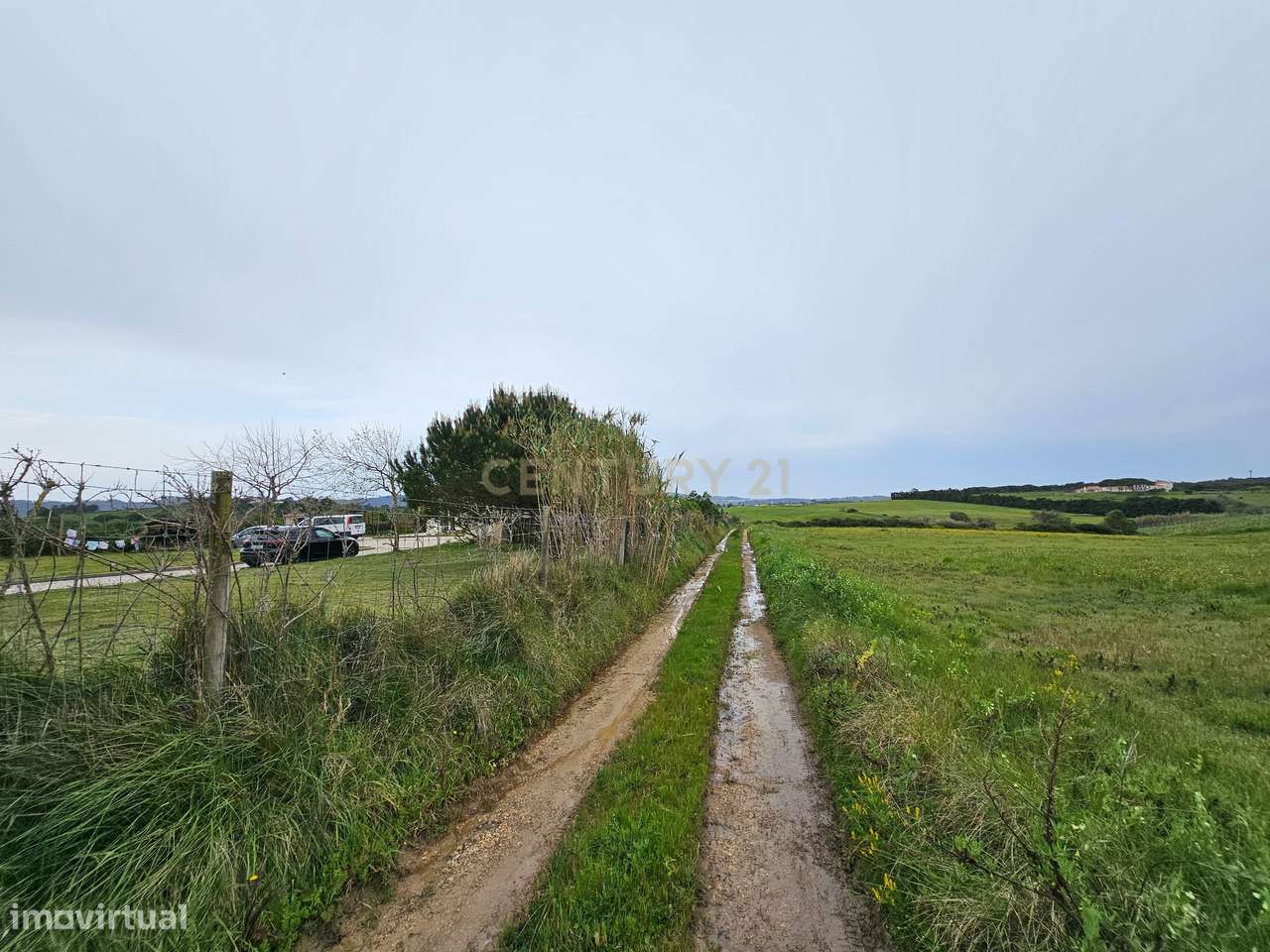 Terreno Rústico | 14160m2 | Sintra | Fontanelas | Av. Nossa Senhora da-4