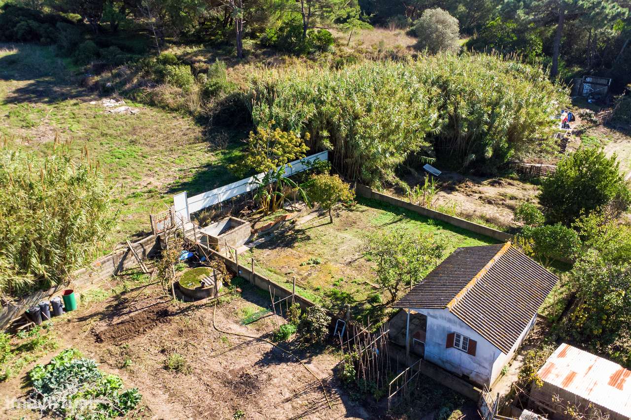 Terreno Rústico, Caparica - Grande imagem: 4/12