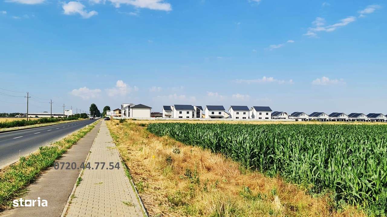 Teren Intravilan Cadastru are  Gaz Curent in fata Comuna Berceni Vidra - Imagine principală: 4/4