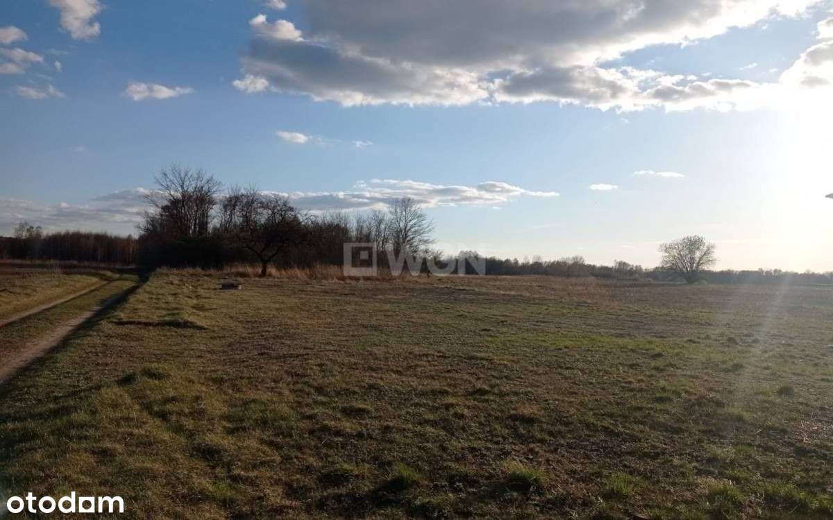 Działka o pow.3366m2 , Wręczyca . - Pełny obrazek: 4/5
