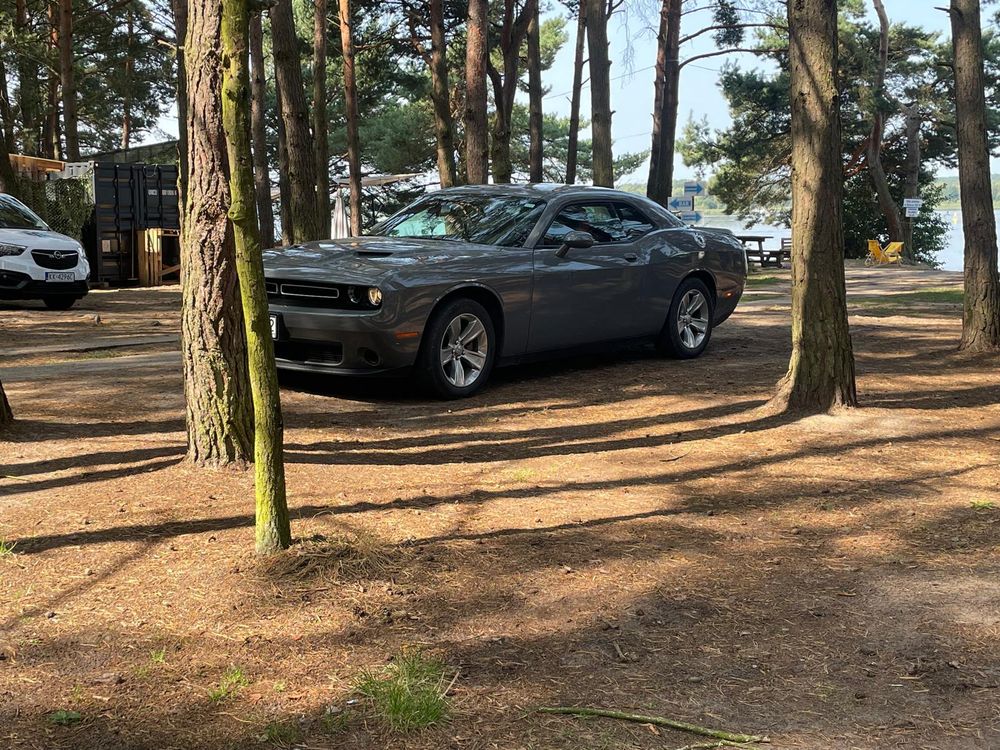 Dodge Challenger 3.6 SXT Plus 2019