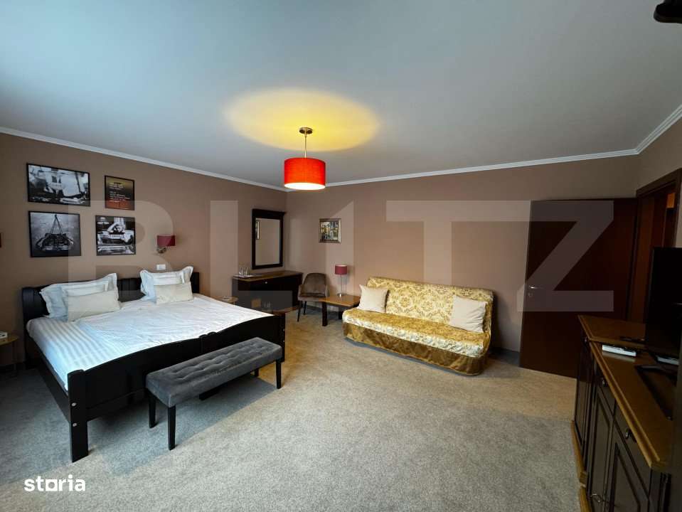 Pensiune perfecta pentru multiple tipuri de activitati,  zona Cetate - Imagine principală: 5/19