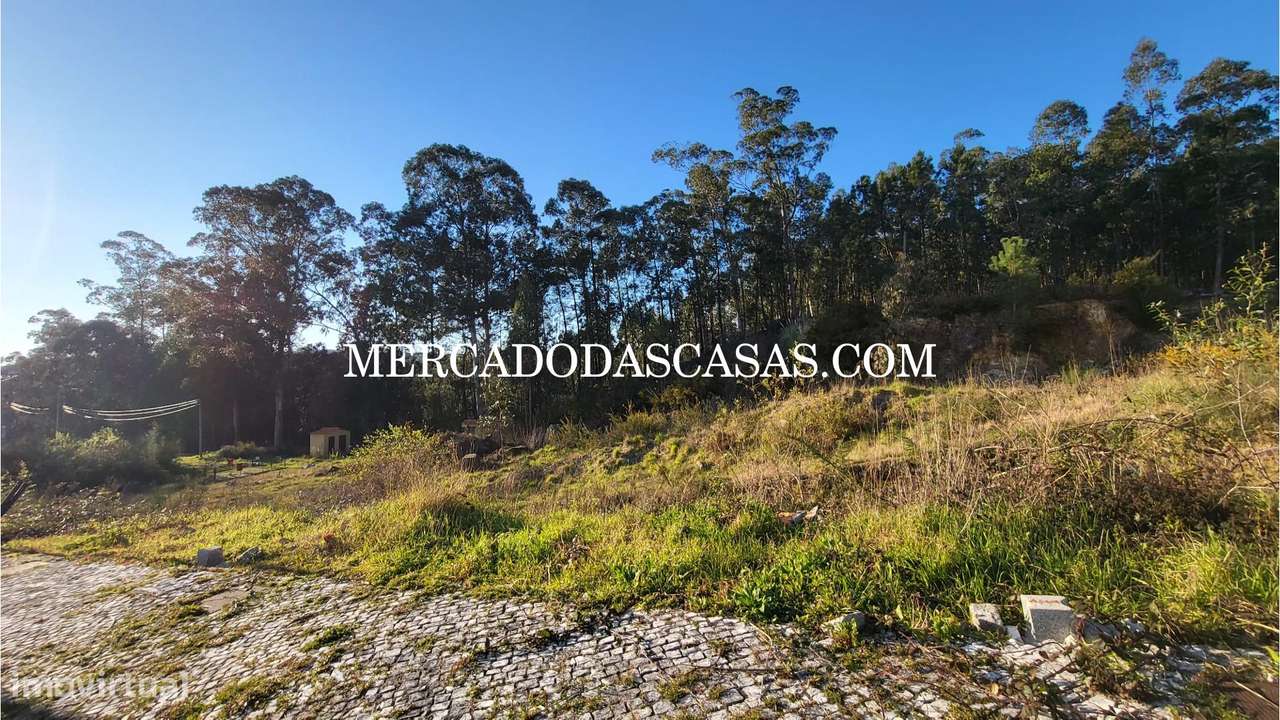 Vários lotes a partir de 25 mil euros, Fajões - Grande imagem: 5/6