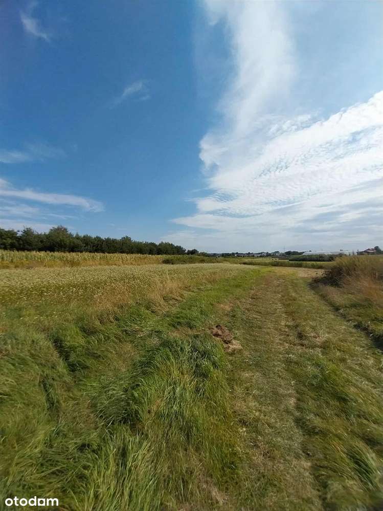 Działka Z Widokiem NA Zamek - Chudów 2090 m2 - Pełny obrazek: 5/7