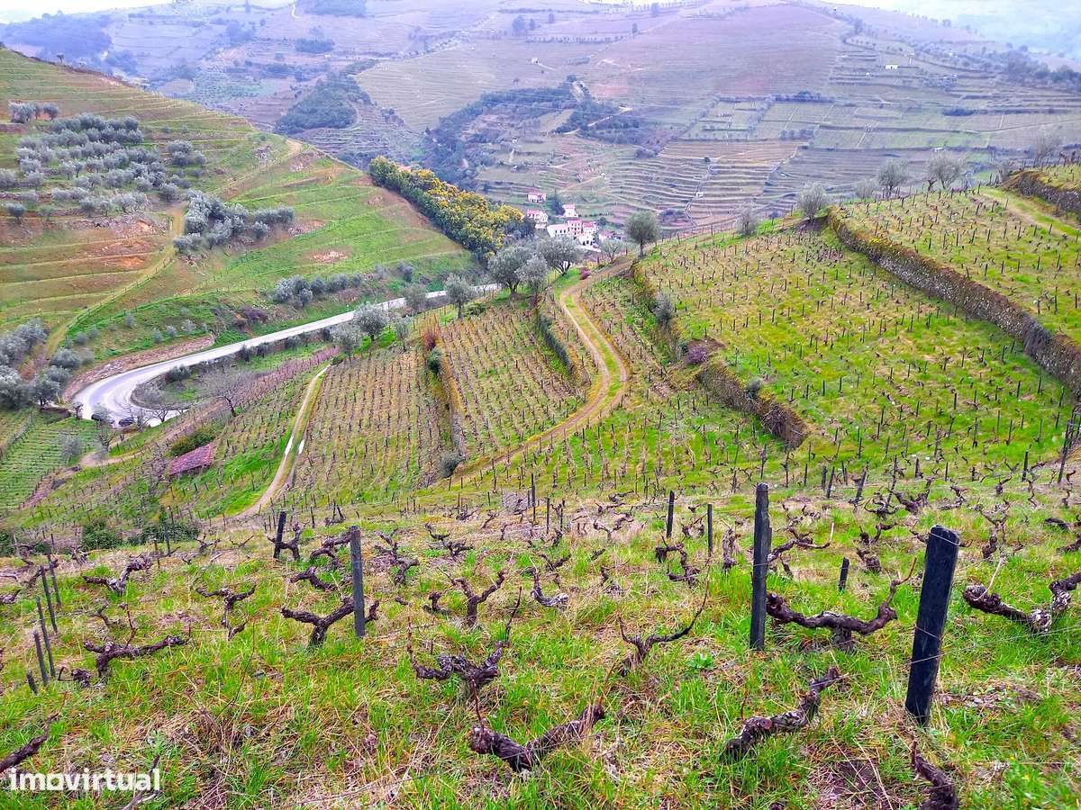 Quinta Sra. da Lapa, Douro, Santa Marta de Penaguião - Grande imagem: 4/13