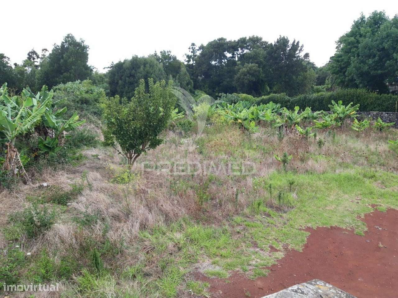 Oportunidade de Investimento – São Mateus da Calheta, Terceira (Aço... - Grande imagem: 5/11