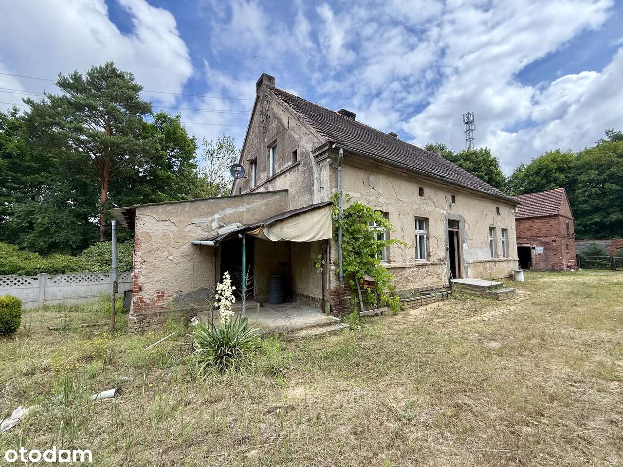 Dom Świebodzin – Wilenko,  nieruchomość w sercu lasu.-9