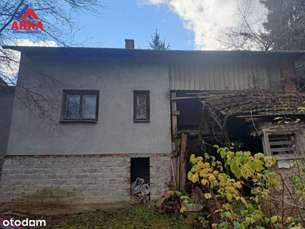 Dom do remontu na dużej działce-3