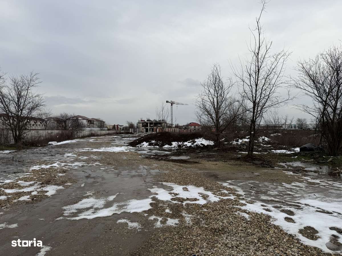 Vând teren în Bragadiru str. Iernii deschidere 40 ml-5