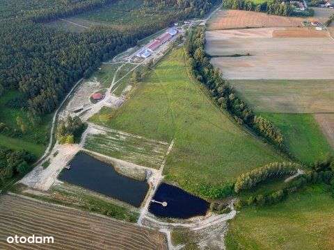 Obiekt hotelowy, hotel - Puszcza Notecka - Pełny obrazek: 4/20