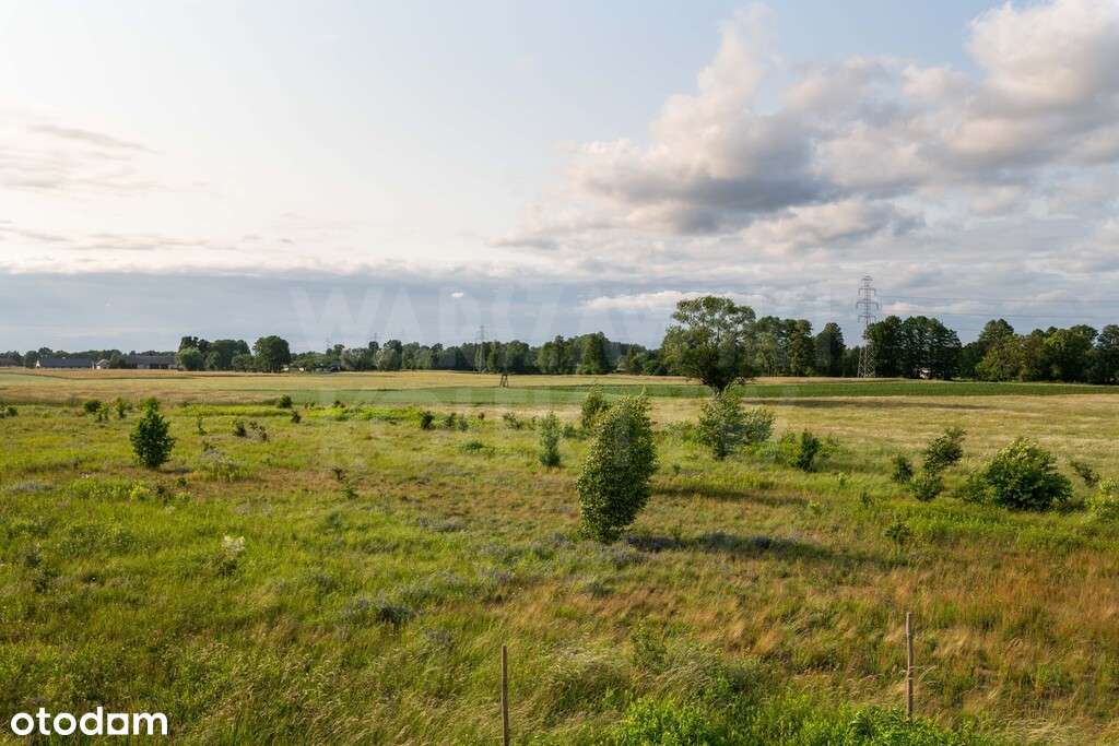 Nowoczesny dom w zielonej okolicy.-13