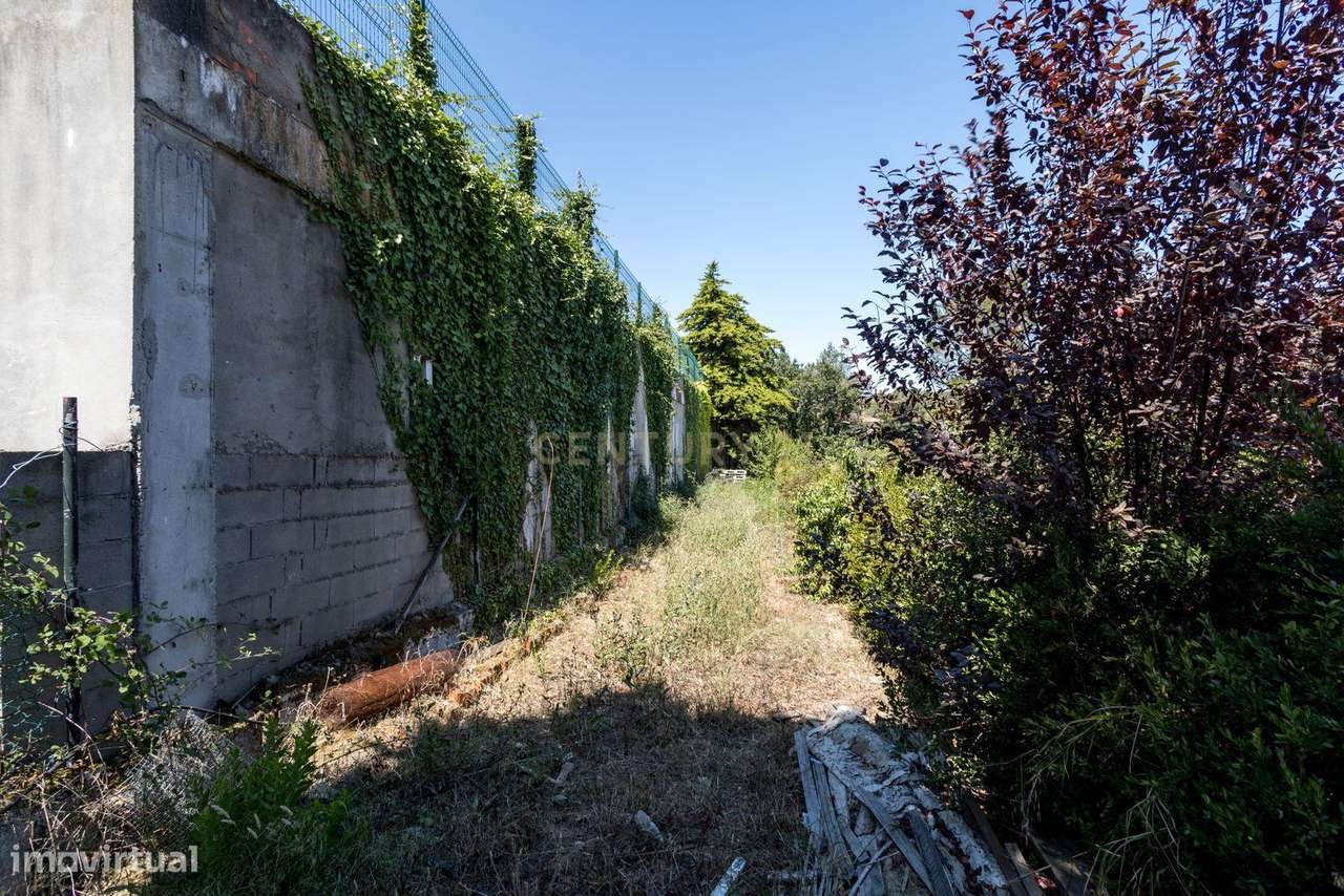 Espetacular Moradia com Jardim em Tomar, Santarém-16