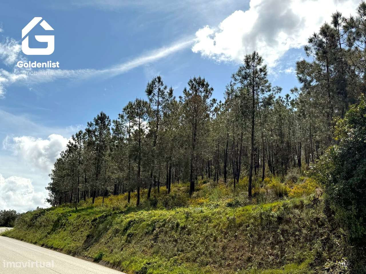 Herdade  Venda em Penamacor,Penamacor-15