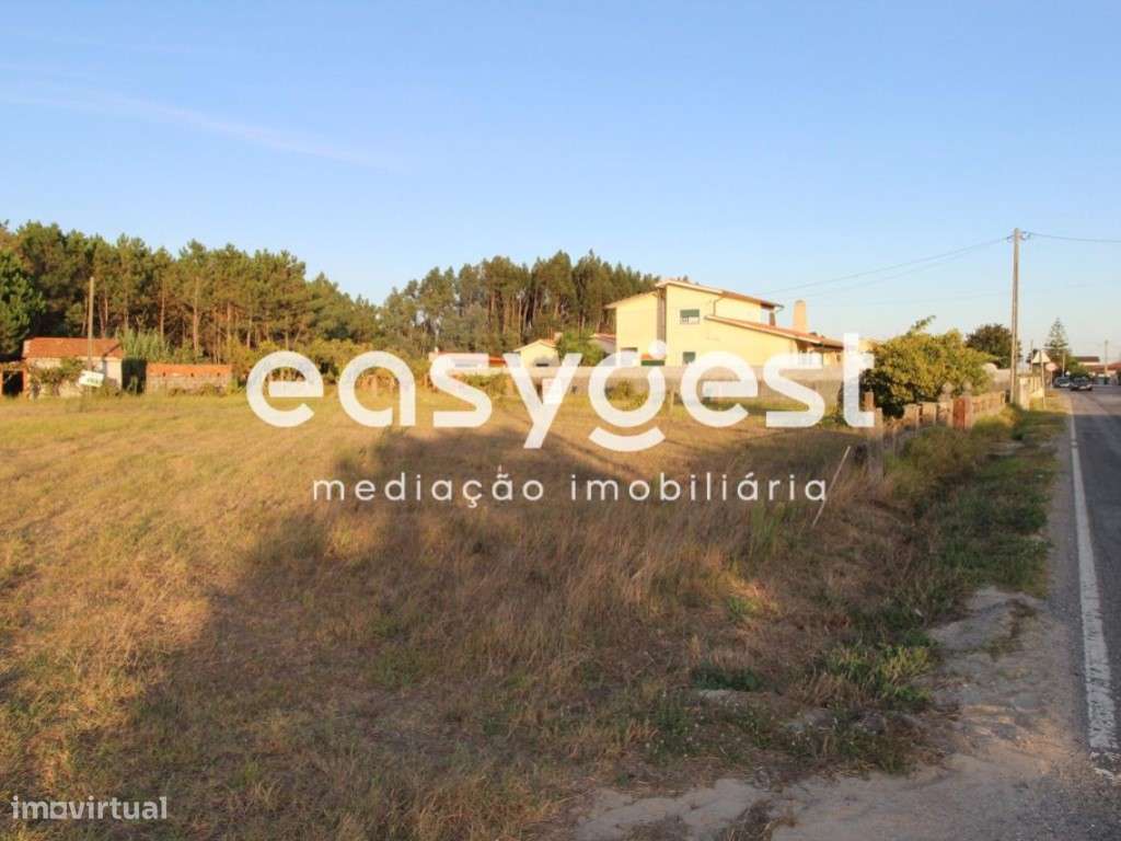 Terreno no Centro de Mira - Grande imagem: 2/5