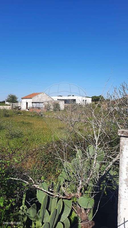 Terreno  para venda - Grande imagem: 4/5