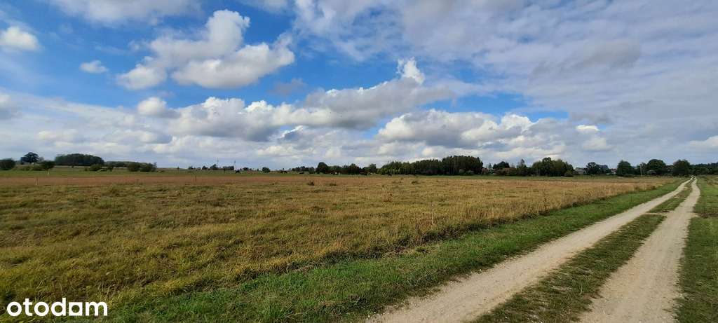 Działka 3001 m² – Ponikła | Spokojna okolica - Pełny obrazek: 4/5