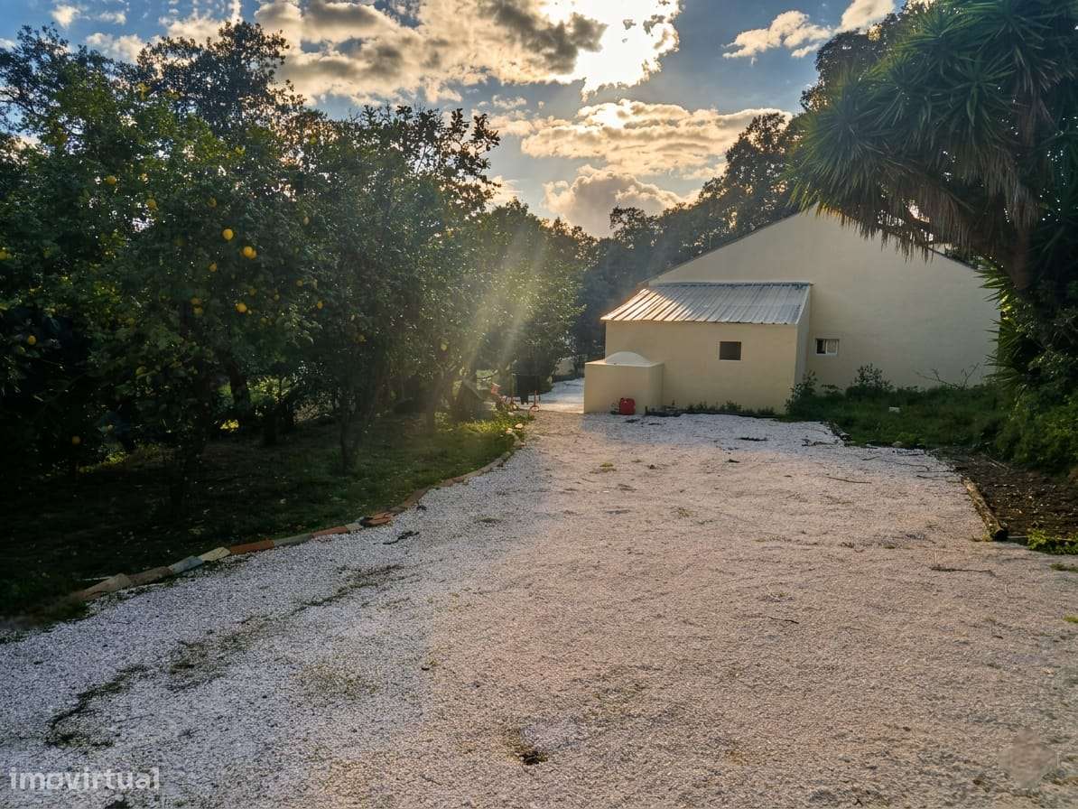 A house in the forest - Grande imagem: 4/11