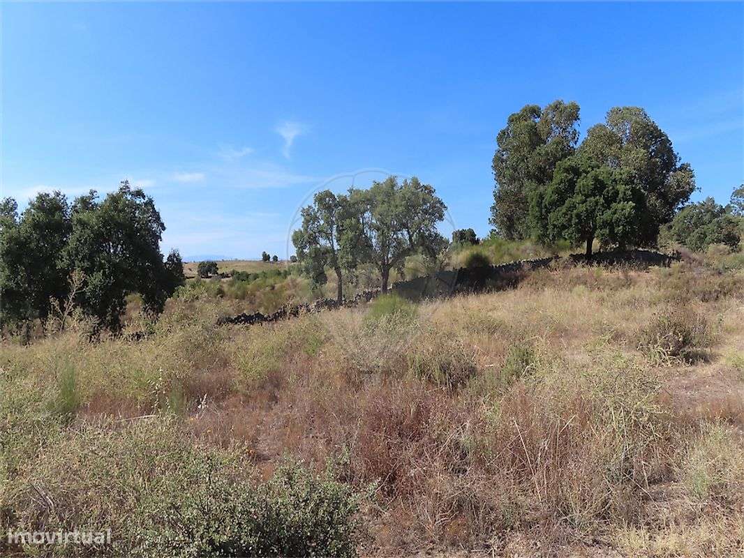 Quinta  para venda-36