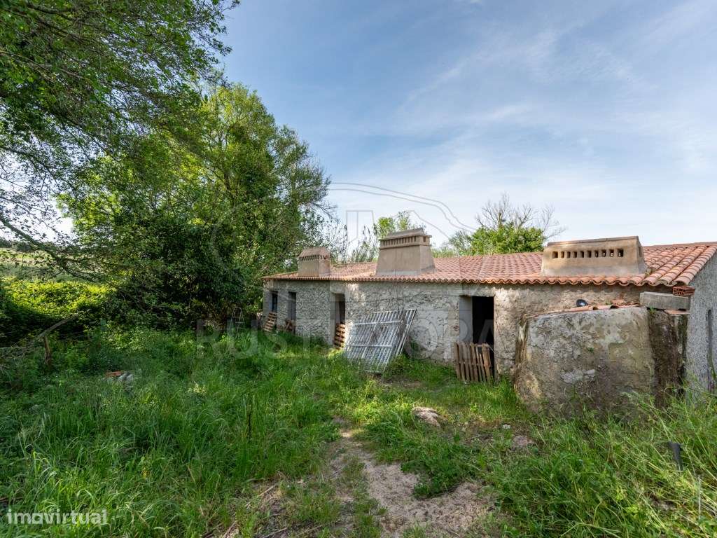 Quinta com duas casas, piscina, ribeira e AgroFloresta | Montemor-o...-16