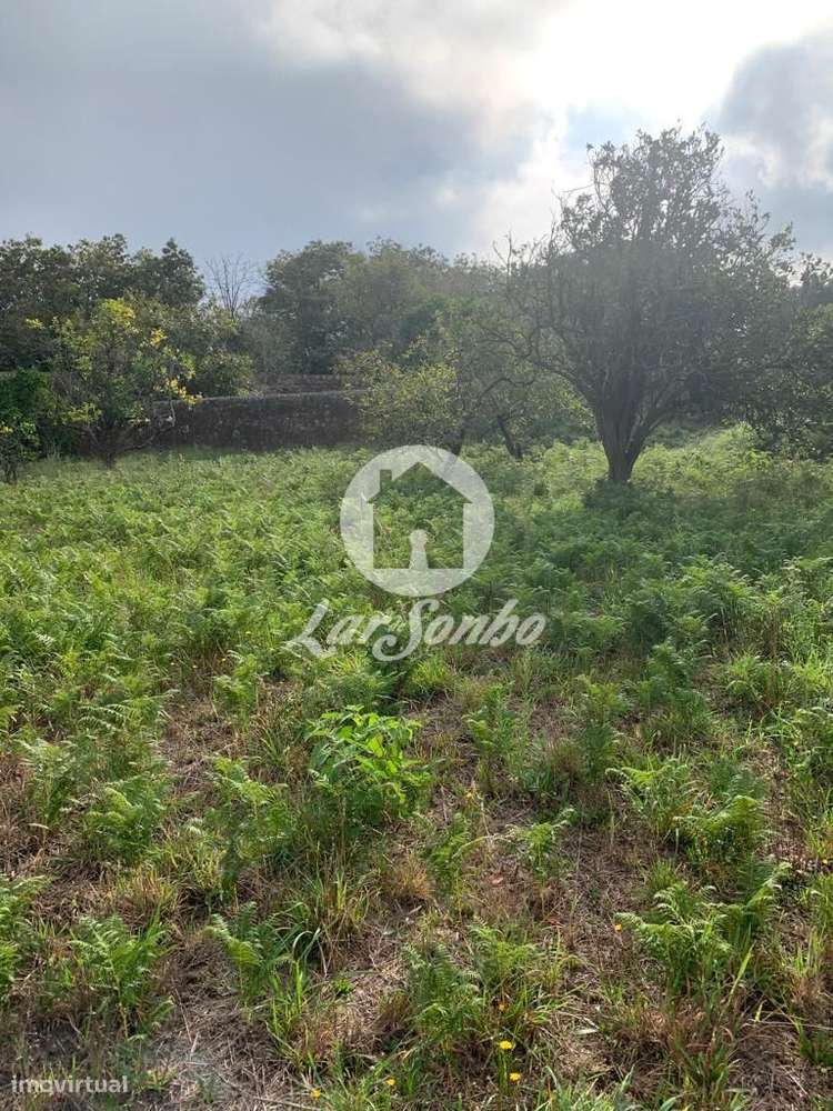 Terreno para construção com 2.000 m2 em Beiriz, Póvoa de Varzim - Grande imagem: 4/8