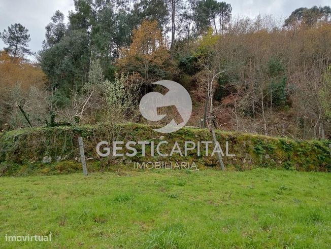 Oportunidade Única: Quinta para Habitação, Turismo ou Agricultura em M-24