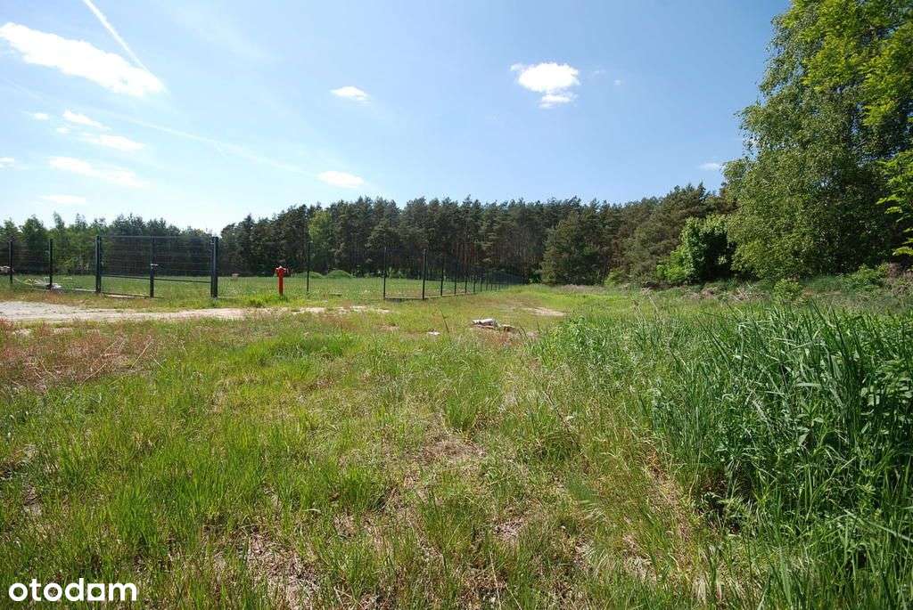 mpzp, woda, kanalizacja, prąd, las, droga - Pełny obrazek: 4/11