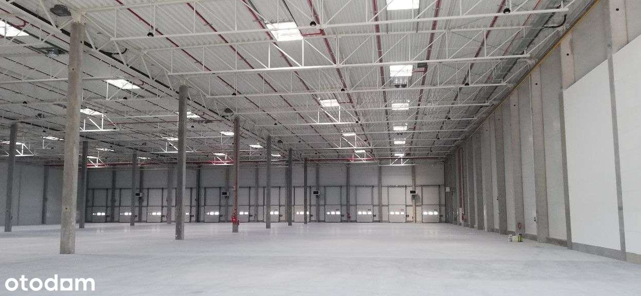 Hala magazynowo - produkcyjna - Pełny obrazek: 4/4