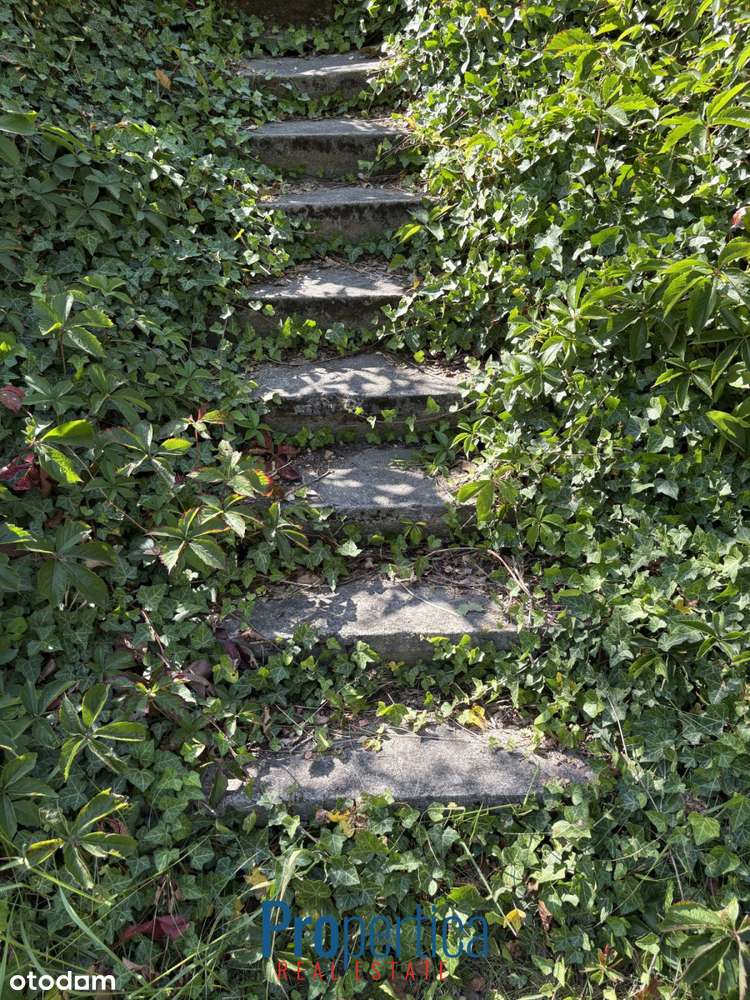 Piękny Ogród - działka w Konstancinie plus dom-13